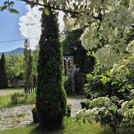 Pensiunea Dumbravita 3*